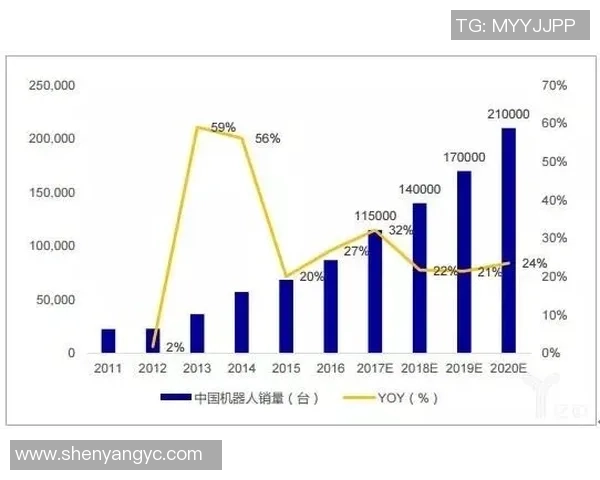 成都极限运动队团队协作的独特优势与挑战深度解析