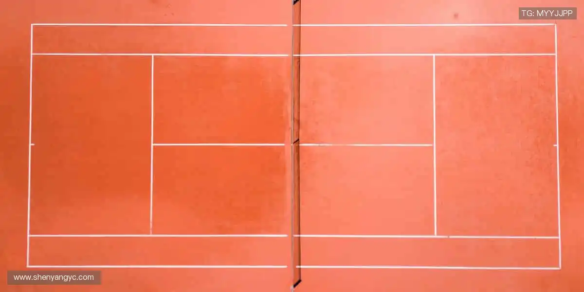 🌟 赛事策划，专业打造专属体育盛宴！